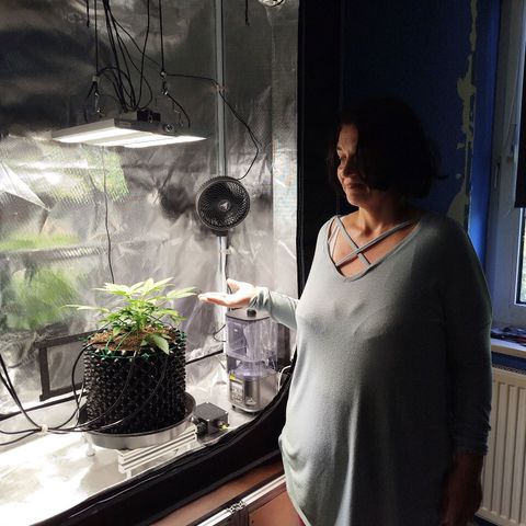Mario's Runtz growlog timeline photo