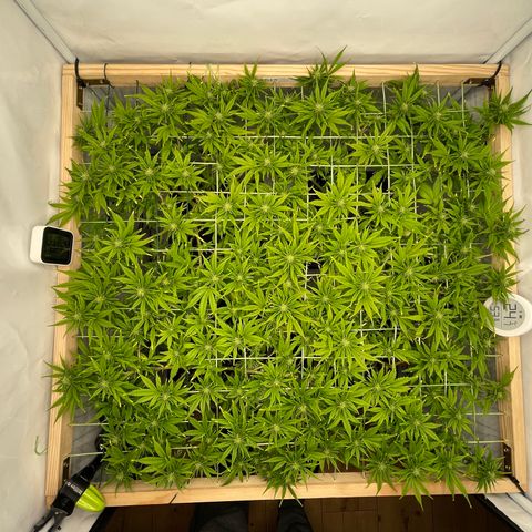K33 growlog timeline photo