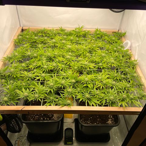 K33 growlog timeline photo