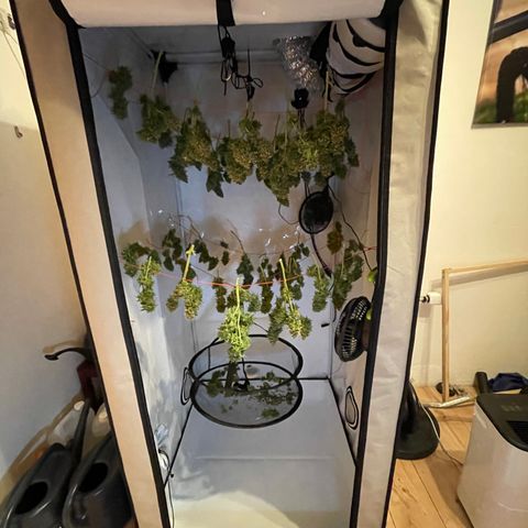 K33 growlog timeline photo