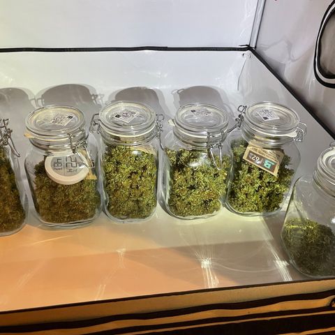 K33 growlog timeline photo