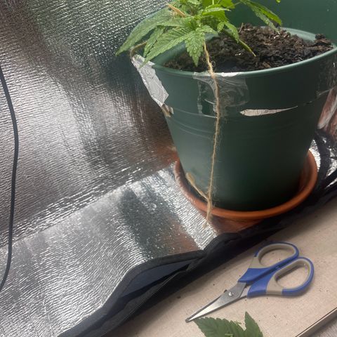 Habibi PT growlog timeline photo