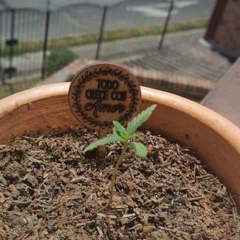 Genética desconocida growlog timeline photo