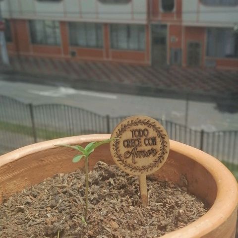 Genética desconocida growlog timeline photo