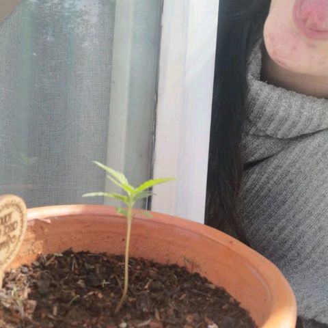 Genética desconocida growlog timeline photo