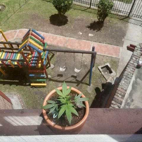 Genética desconocida growlog timeline photo