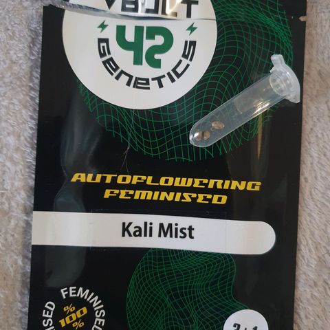 Kali Mist Auto Fem. growlog photo