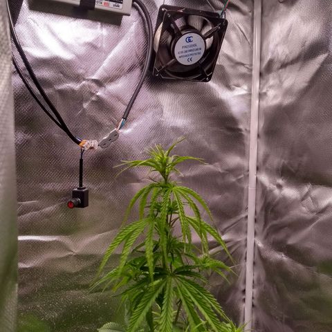 MJ1702 growlog timeline photo