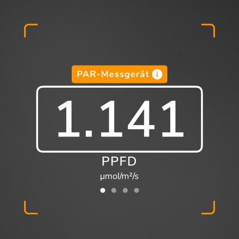 French Macaron growlog timeline photo