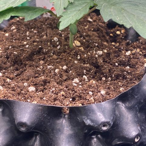Super Boof growlog timeline photo