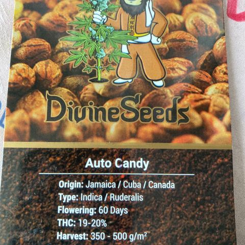 Auto Candy  growlog timeline photo