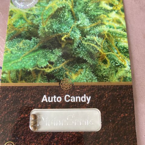Auto Candy  growlog timeline photo