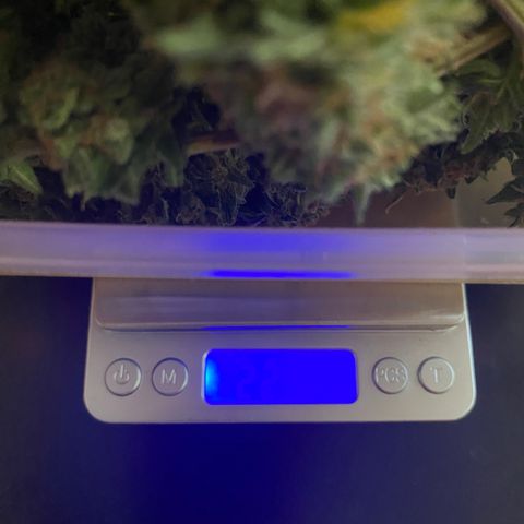 Super Boof growlog timeline photo