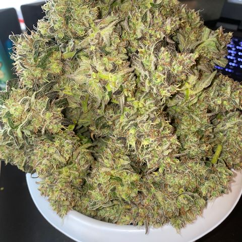 Auto Candy  growlog timeline photo