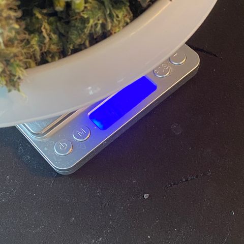 Auto Candy  growlog timeline photo