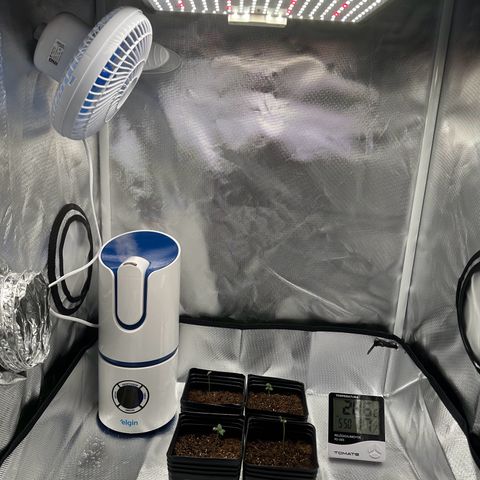 Ak 47 3 growlog timeline photo