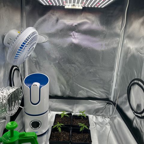 Ak 47 3 growlog timeline photo