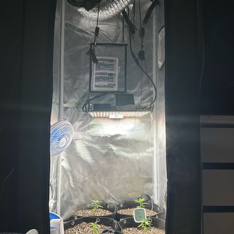 Ak 47 3 growlog timeline photo