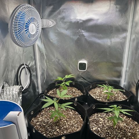 Ak 47 3 growlog timeline photo