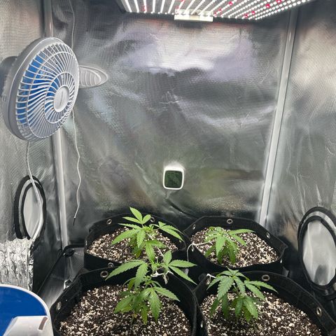 Ak 47 3 growlog timeline photo