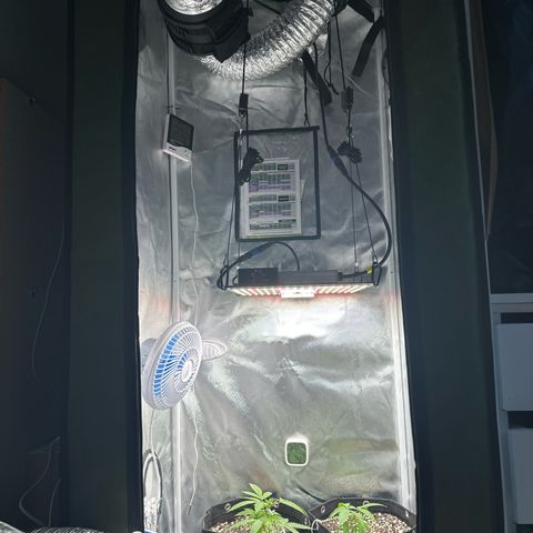Ak 47 3 growlog timeline photo