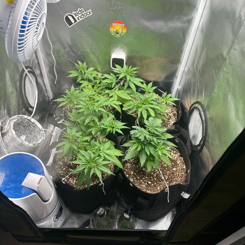 Ak 47 3 growlog timeline photo