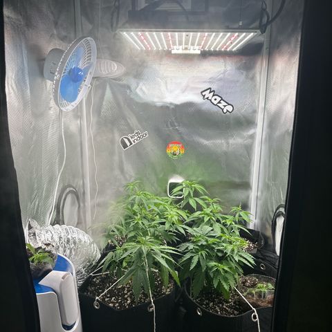 Ak 47 3 growlog timeline photo