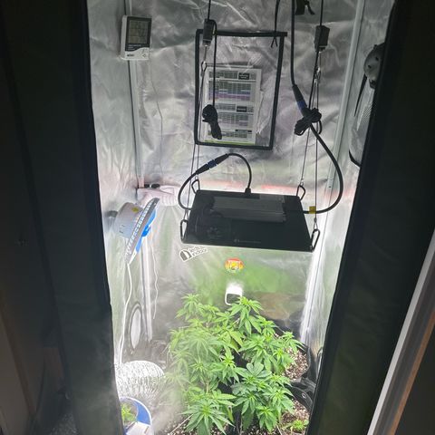 Ak 47 3 growlog timeline photo