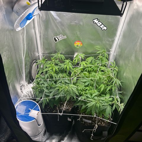 Ak 47 3 growlog timeline photo
