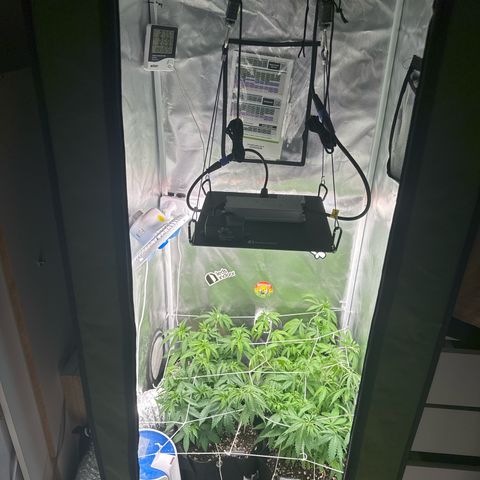 Ak 47 3 growlog timeline photo