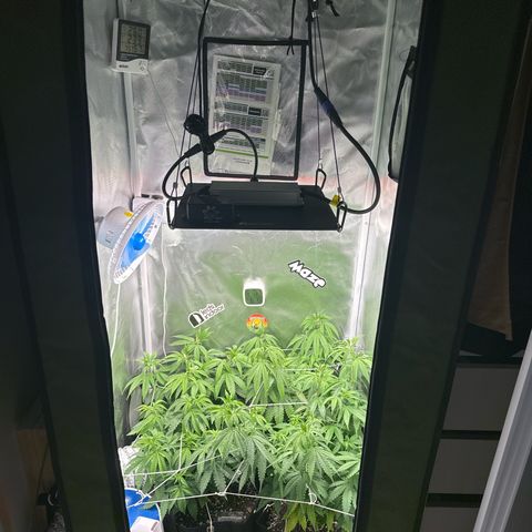 Ak 47 3 growlog timeline photo