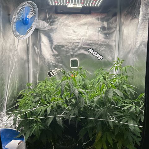 Ak 47 3 growlog timeline photo
