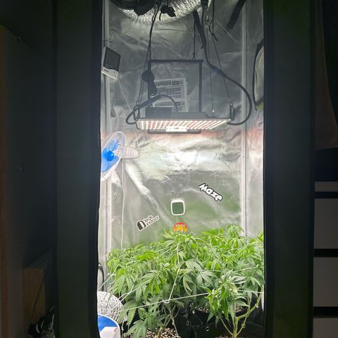 Ak 47 3 growlog timeline photo