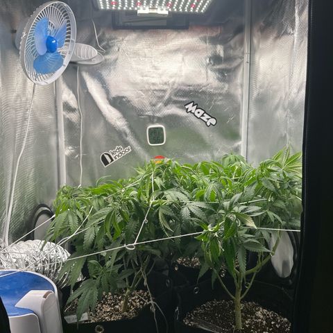 Ak 47 3 growlog timeline photo