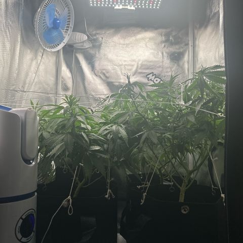 Ak 47 3 growlog timeline photo