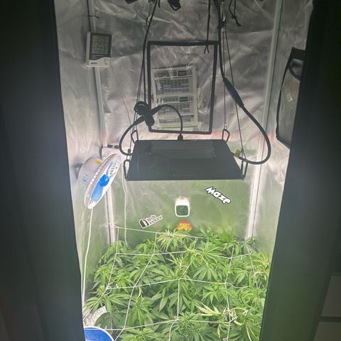 Ak 47 3 growlog timeline photo