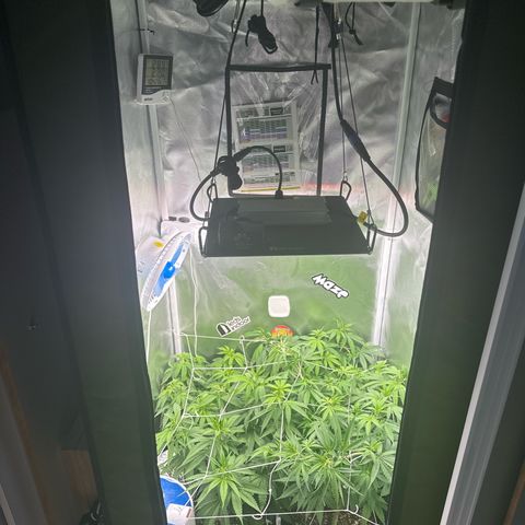 Ak 47 3 growlog timeline photo