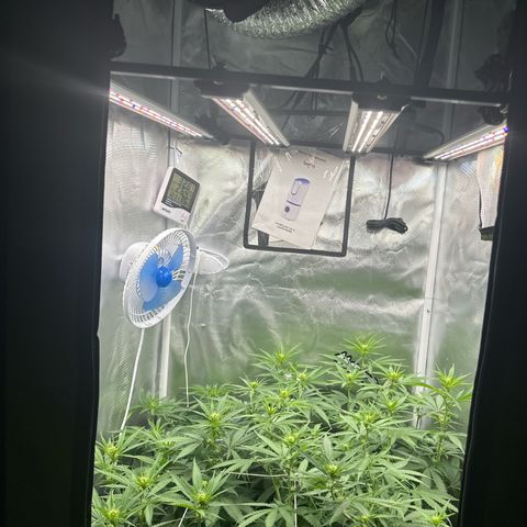 Ak 47 3 growlog timeline photo