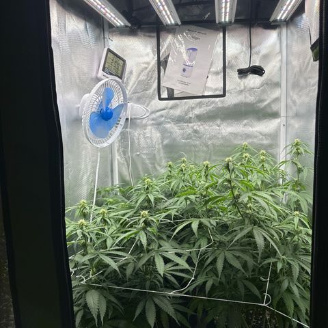 Ak 47 3 growlog timeline photo
