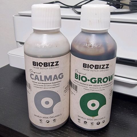 Original Auto Amnesia Haze growlog timeline photo