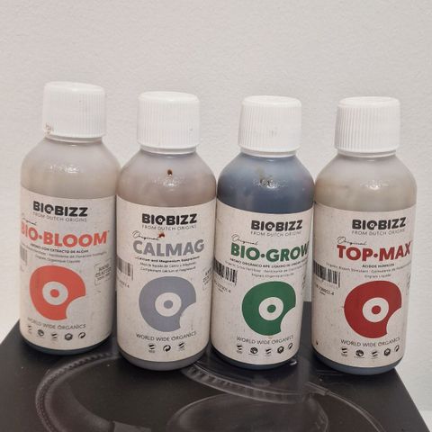 Original Auto Amnesia Haze growlog timeline photo