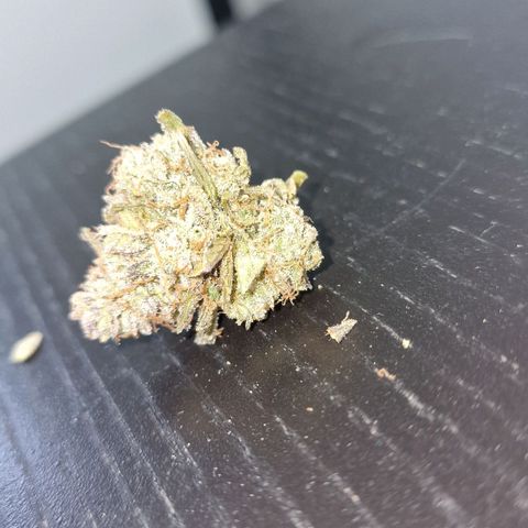Original Auto Amnesia Haze growlog timeline photo