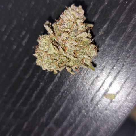 Original Auto Amnesia Haze growlog timeline photo