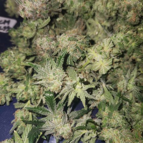 Sour Patch Kiss growlog timeline photo