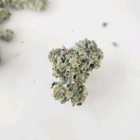Gorilla Runtz growlog timeline photo