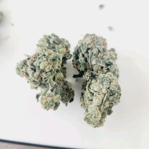 Gorilla Runtz growlog timeline photo