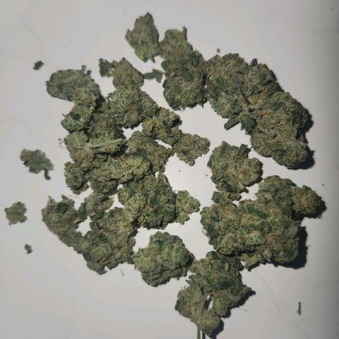 Gorilla Runtz growlog timeline photo
