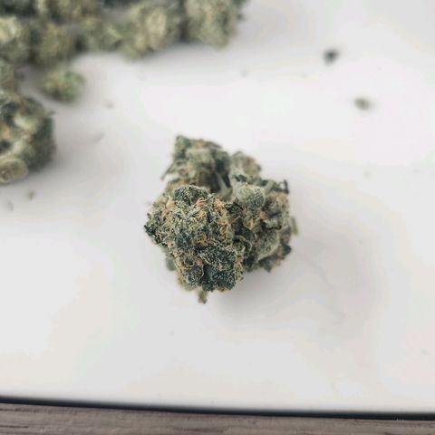 Gorilla Runtz growlog timeline photo