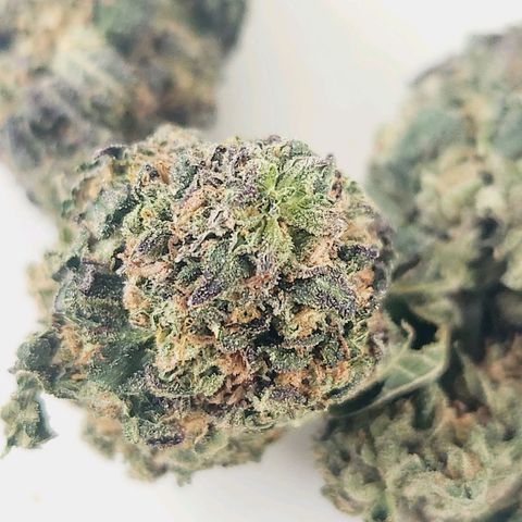 White Heat growlog timeline photo
