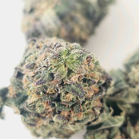 White Heat growlog timeline photo